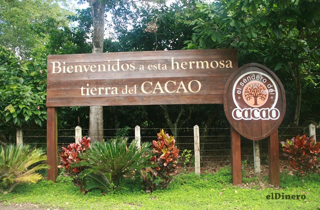 San Francisco de Macoris Cacao