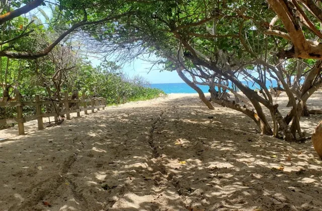 Playa Guzmancito Puerto Plata Republique Dominicaine