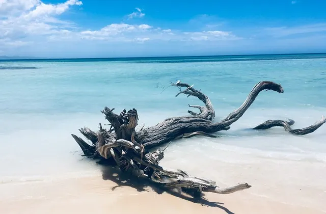 Playa Guzmancito Republique Dominicaine