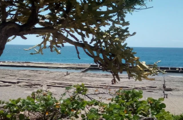Playa Los Cuadritos San Cristobal Republica Dominicana