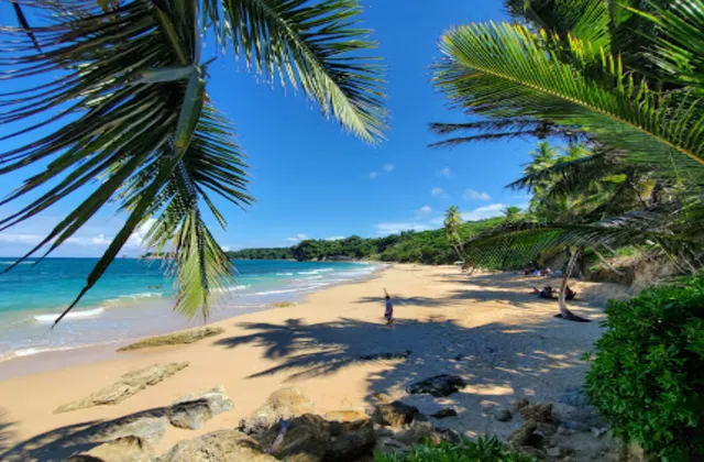 Playa Preciosa Rio San Juan Republique Dominicaine