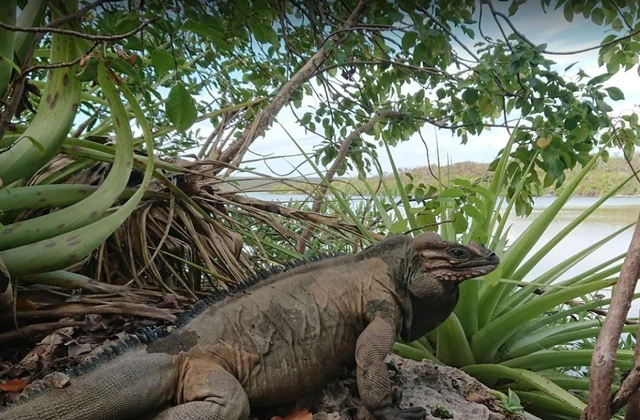 Parque Nacional de Jaragua 1