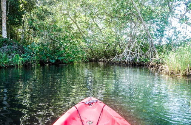 Kayak Las Terrenas Republica Dominicana